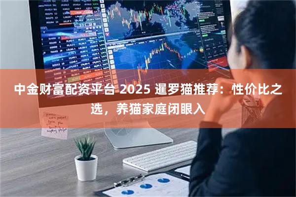 中金财富配资平台 2025 暹罗猫推荐:性价比之选,养猫家庭闭眼入