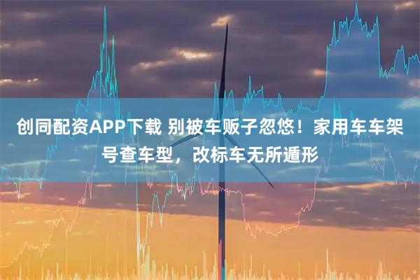 创同配资APP下载 别被车贩子忽悠！家用车车架号查车型，改标车无所遁形